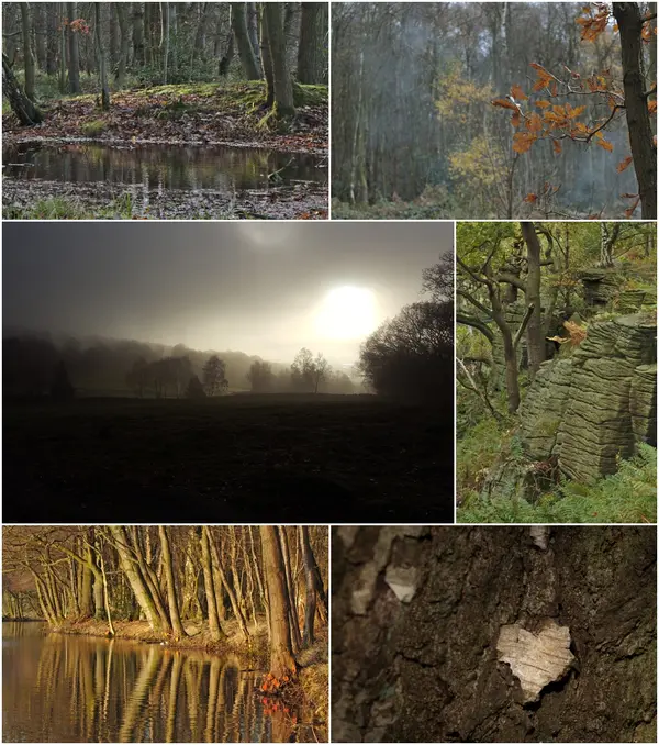 Sites & Scenery gallery